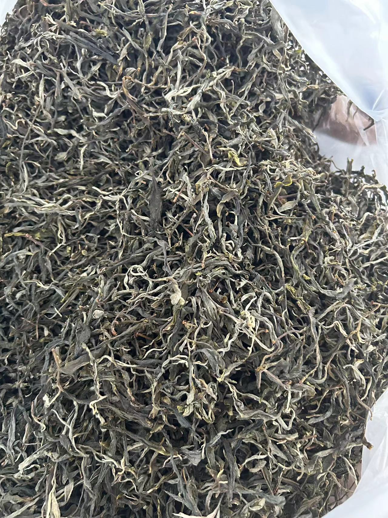 2024年忙肺正山明前头春古树