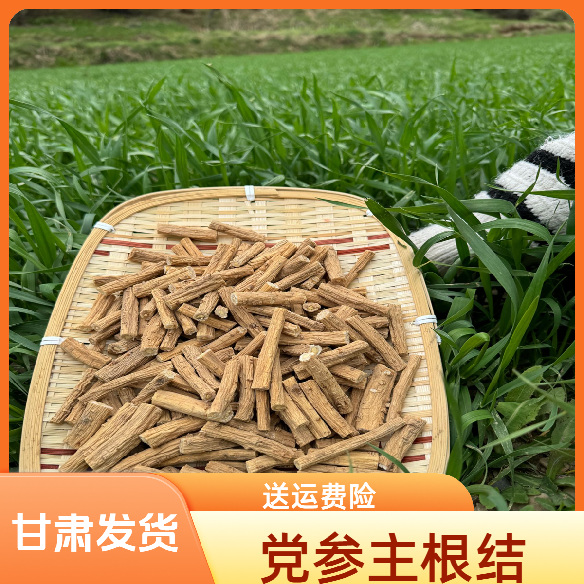 【党参切段】岷县党参切段产地直发可搭配黄芪枸杞煲汤泡水滋补