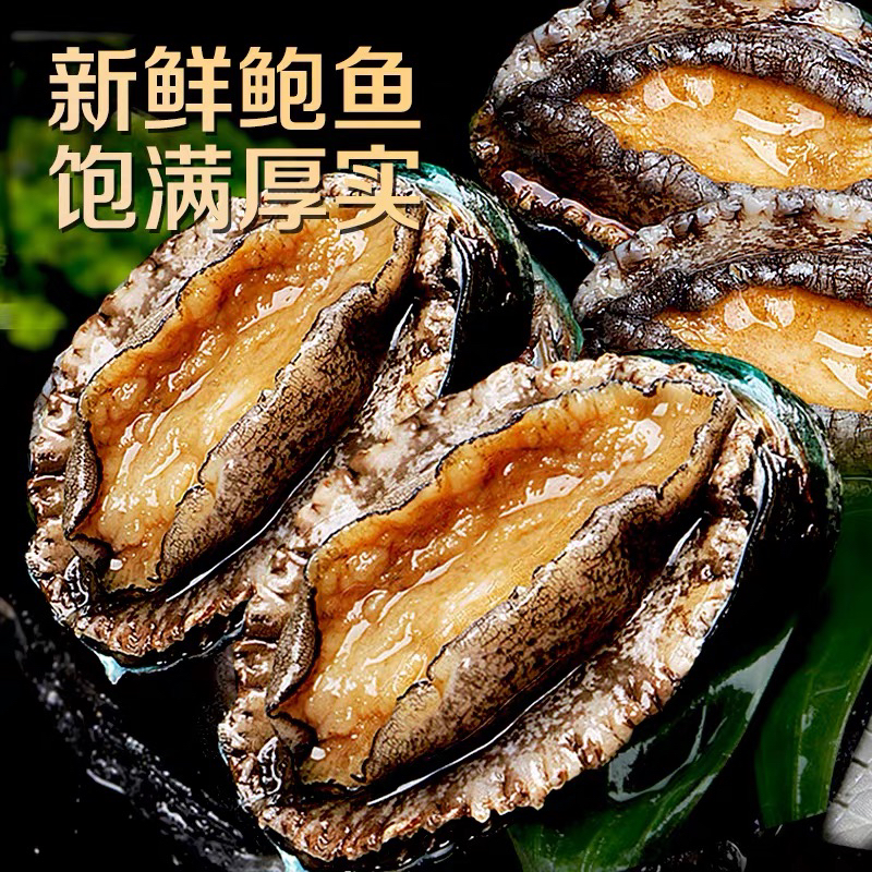 闪送发货8头鲍6.5-7.5大连深海鲍鱼个大肉肥鲜活发货