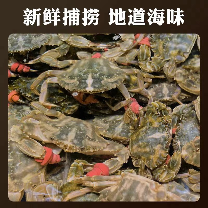 2斤装 鲜活花盖蟹 全母（5-7只）