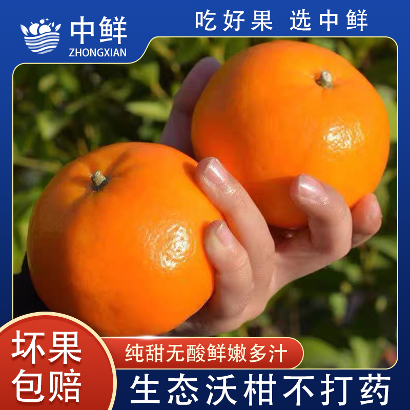 【中鲜专享】新鲜正宗沃柑采摘金桔柑橘子当季水果广西武鸣广西沃柑