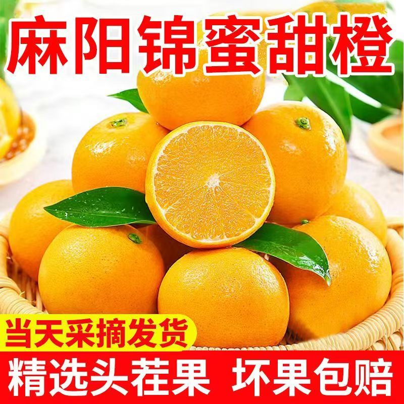 9斤大规格正宗麻阳锦蜜冰糖橙当季新鲜水果爆甜多汁头茬果薄皮