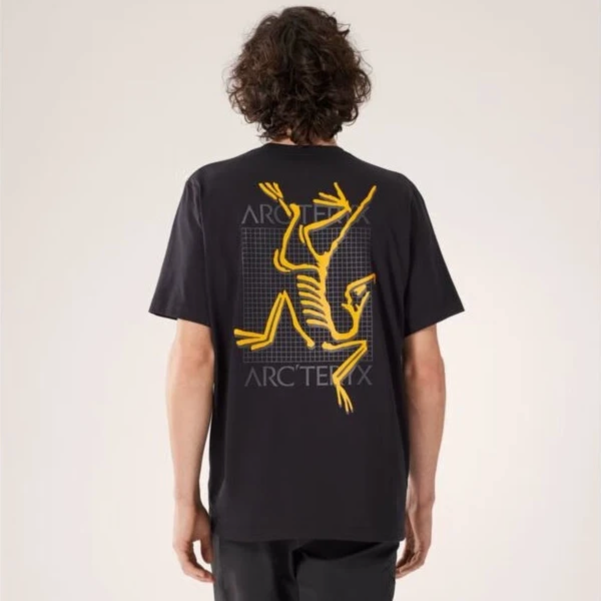 ARC'TERYX/始祖鸟Multi Bird Logo Ss 后背字母logo短袖