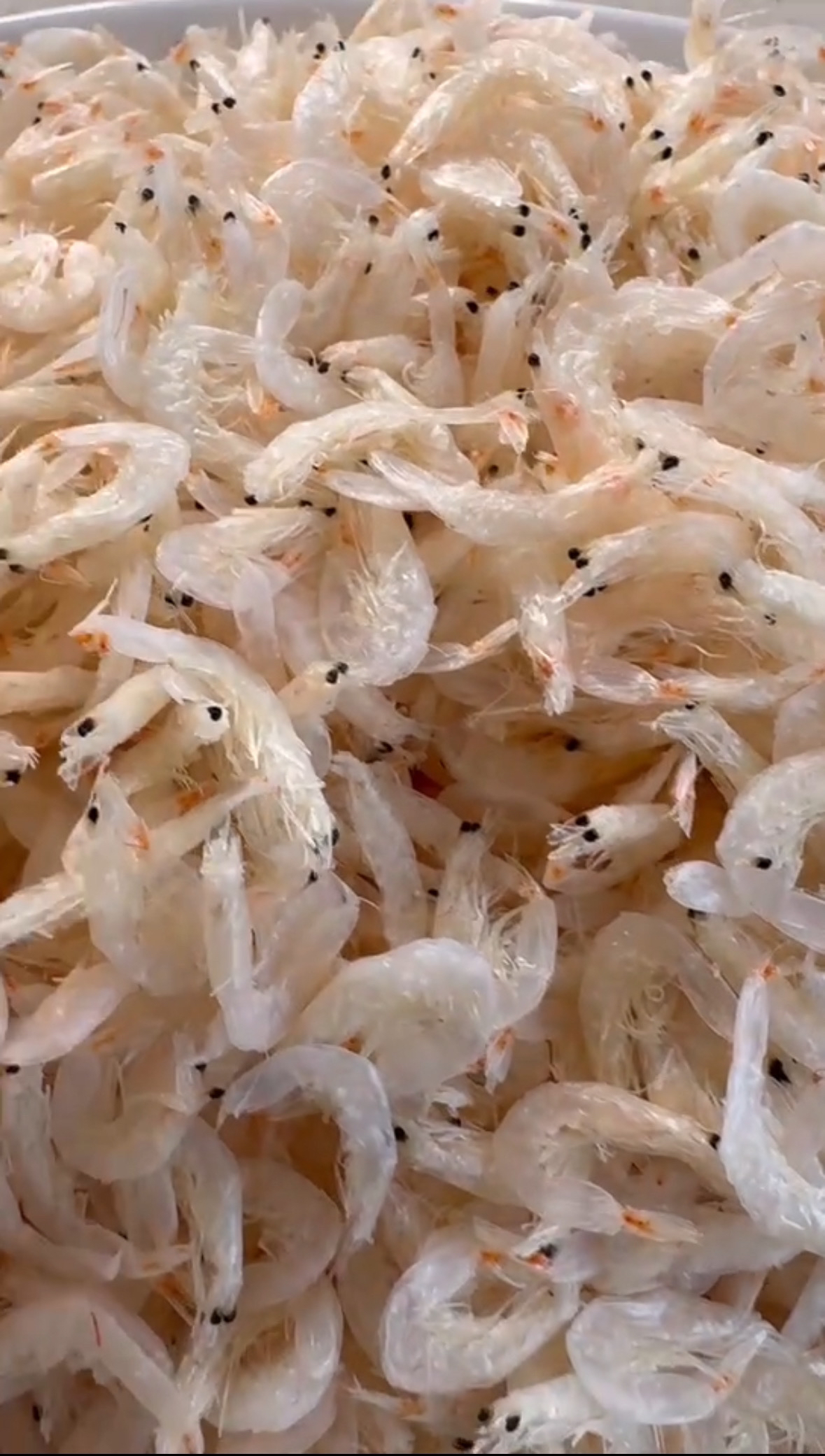 田横含钙淡干虾皮  顺丰发货