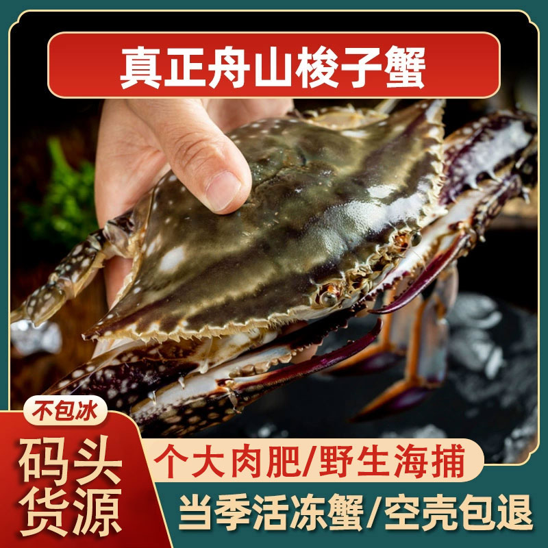 【公蟹】6-8两/只舟山野生鲜活速冻梭子蟹包鲜包肥共3斤【冻蟹】