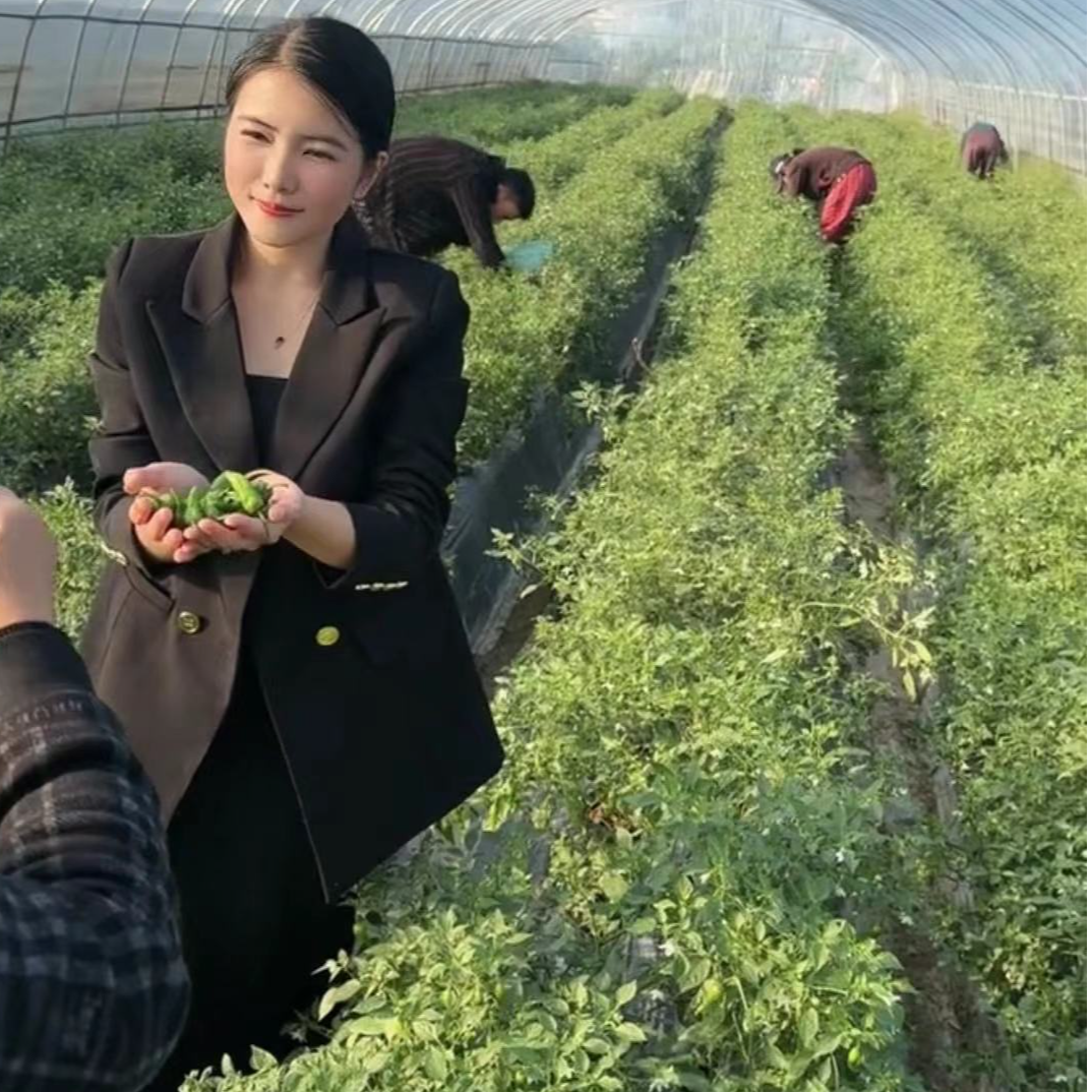余干辣椒正宗余干原产地辣椒现摘现发送豆豉