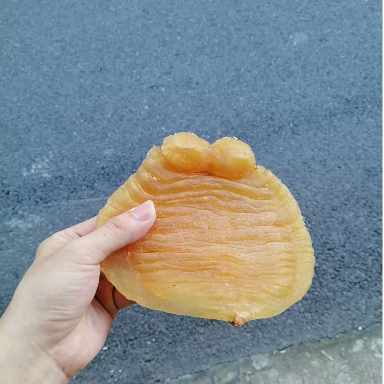 红鸡赤嘴精品货 3两 4两 5两