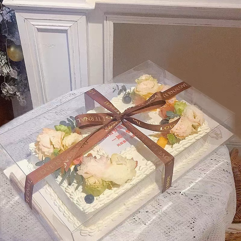 全长方形开业庆典毕业超大盒子蛋糕盒塑料蛋糕盒半透明透明