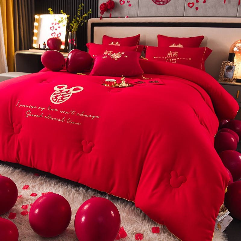 【小扬哥甄选】大红色婚嫁被子冬被结婚陪嫁婚庆春秋被双人被新婚