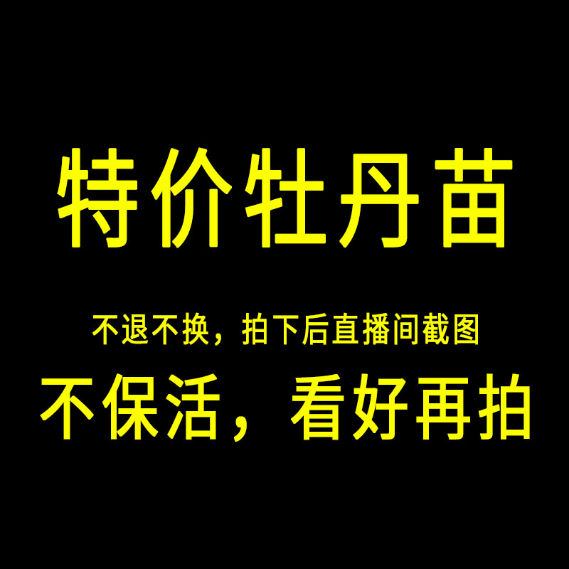 特价牡丹苗（只包对版）看好再下单，品种及数量以直播间截图为准