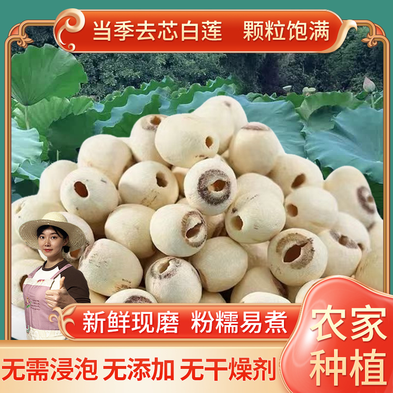 湖南正宗莲子500g干货白莲子去芯磨皮新鲜颗粒营养饱满清香原料