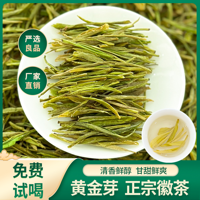 2025年新茶高颜值原产地好茶金寨黄金芽醇厚茶香精选手工采摘嫩叶