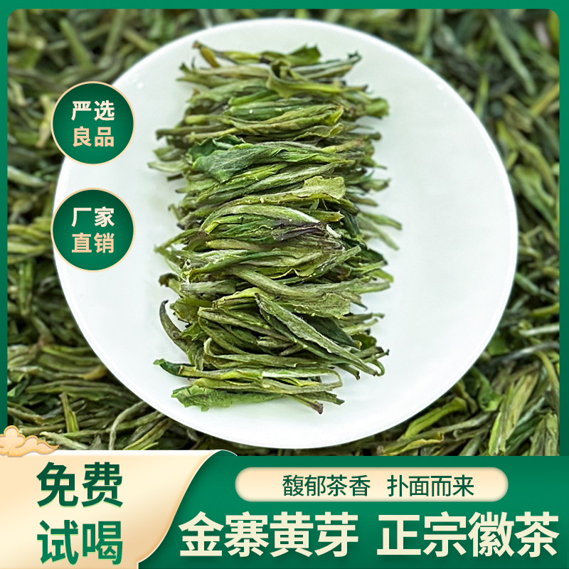 大别山新茶头春头采高山绿茶金寨黄芽嫩芽2025高颜值新茶精品茶