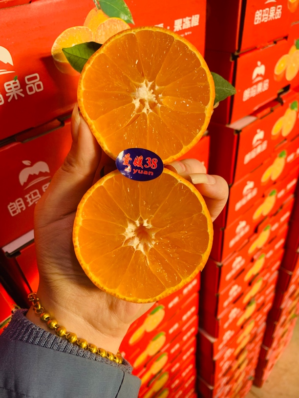 爱媛果冻橙4斤净