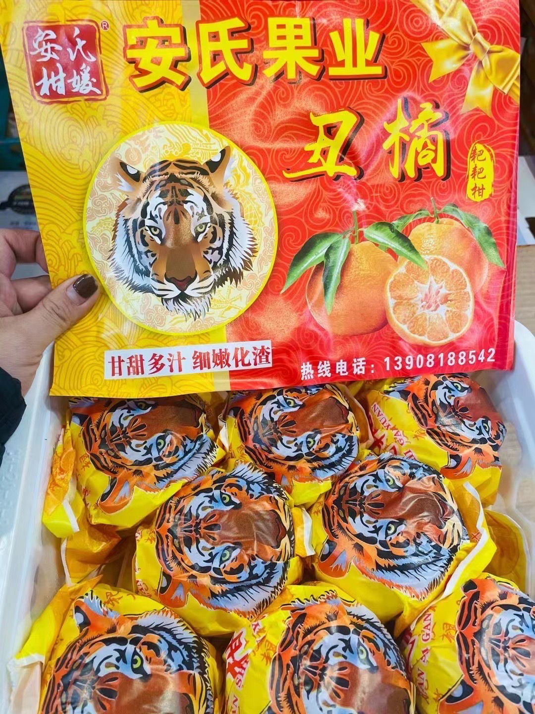 虎头丑橘净重5斤