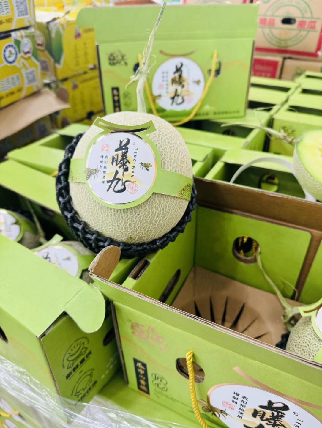 藤丸梅龙瓜2个5-6斤