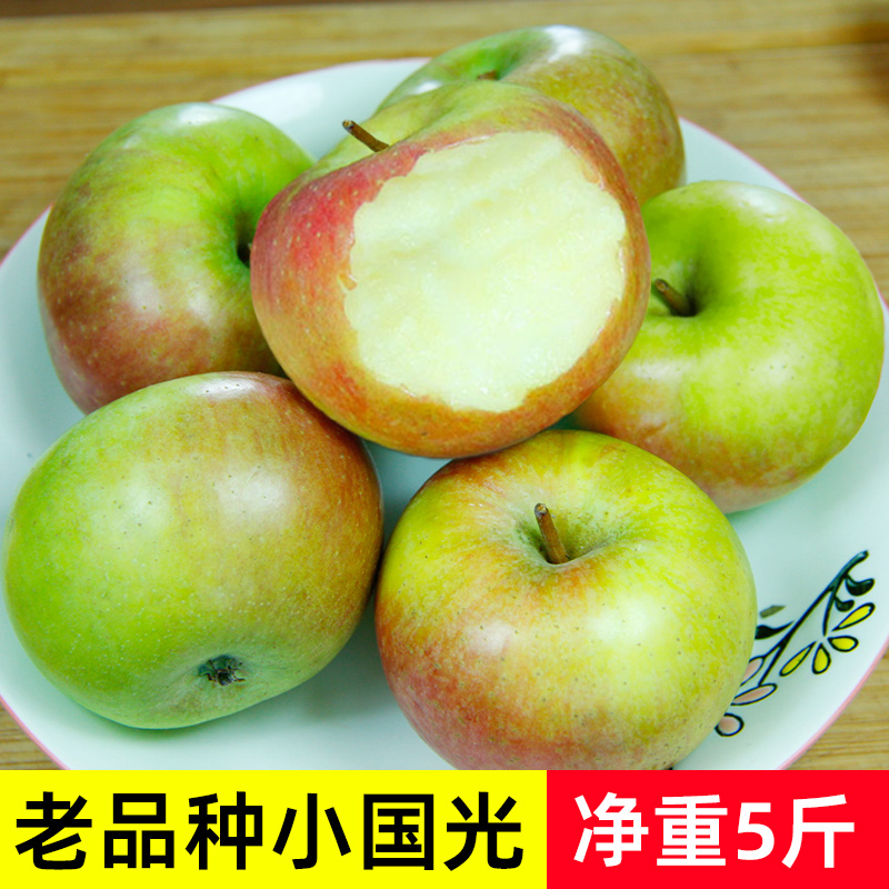 辽南小国光苹果5斤包邮新鲜水果正宗东北老品种瓦房店酸甜小果光