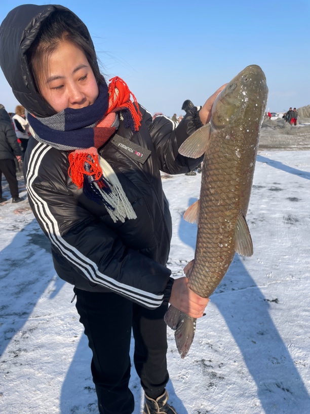 冬捕冷水野生草鱼