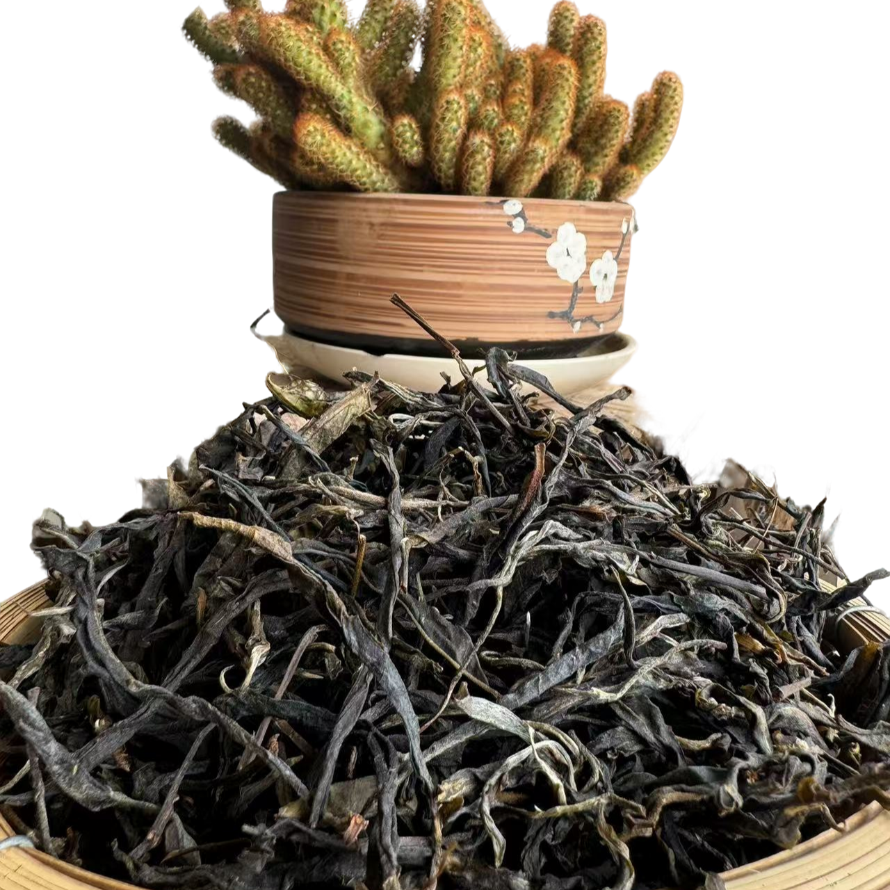 昔归{24年头春单株}普洱茶生茶散茶