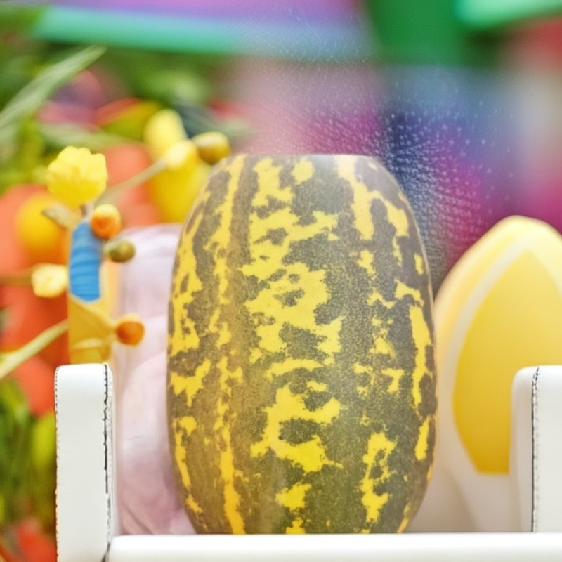 江西上饶本土（米冬瓜）