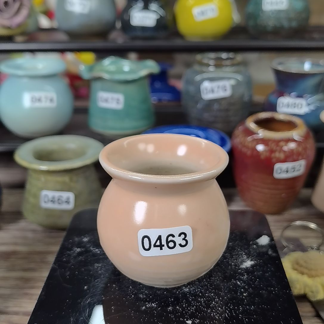 拇指花盆编号 0463