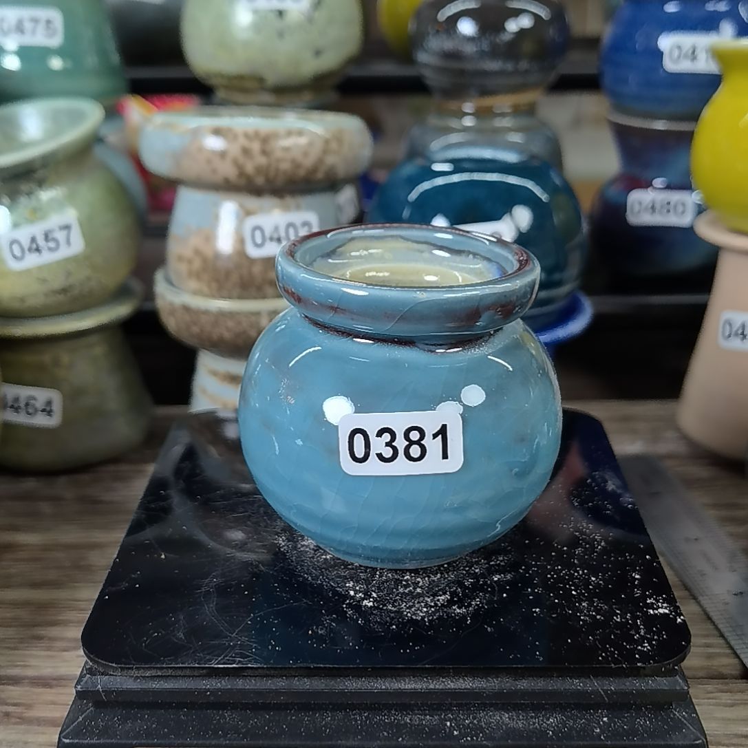 拇指花盆编号 0381