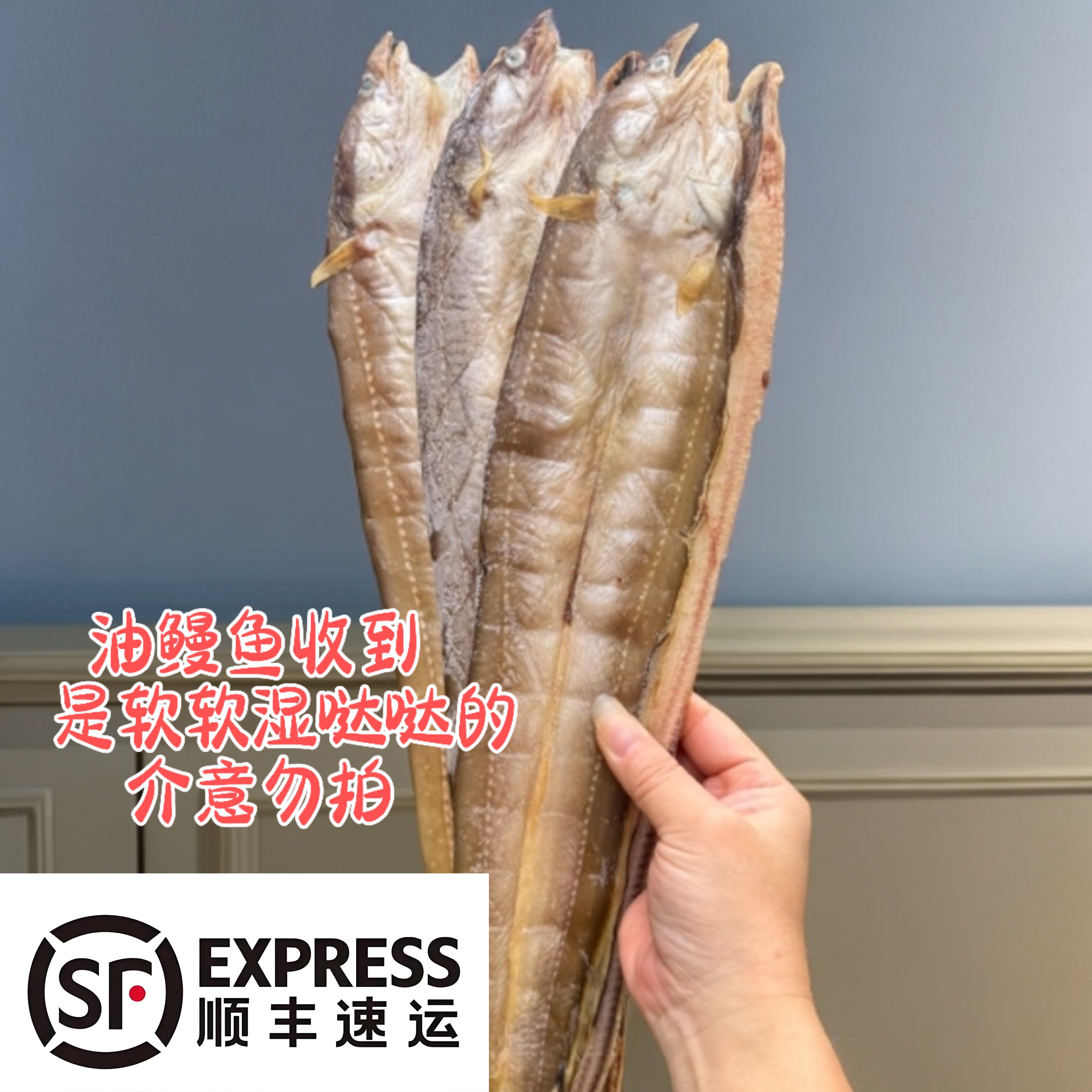 【顺丰速运】三斤鲜嫩油鳗鱼湿货整条肉厚无刺美味（本图片仅供参考）