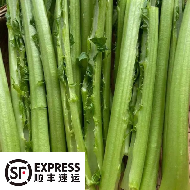【顺丰速运】当天采摘新鲜芥菜杆芥菜农户自种