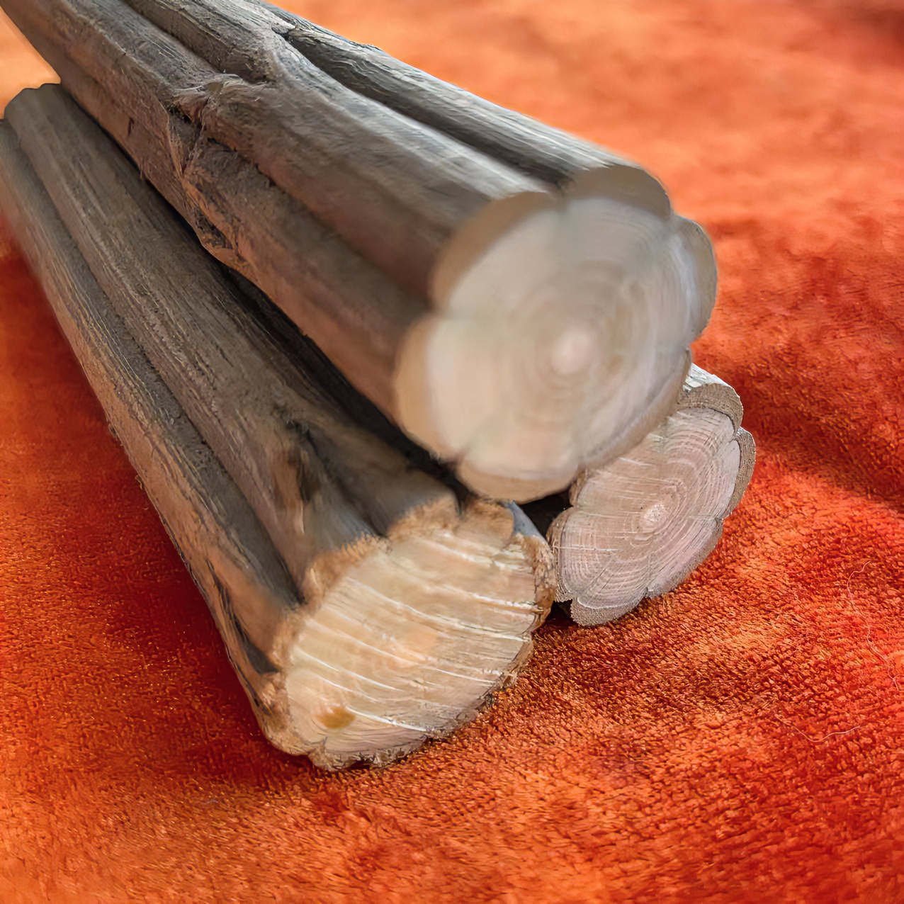 六道木直播间一物一拍