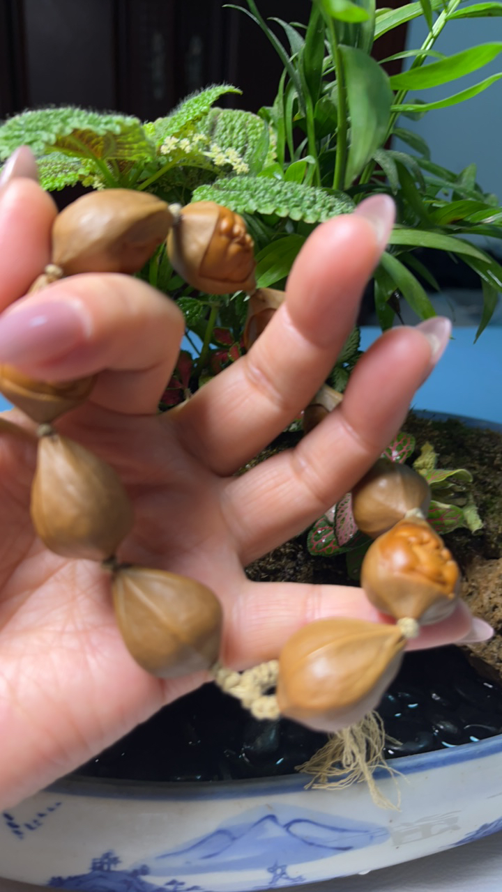 蒜头百态橄榄核。