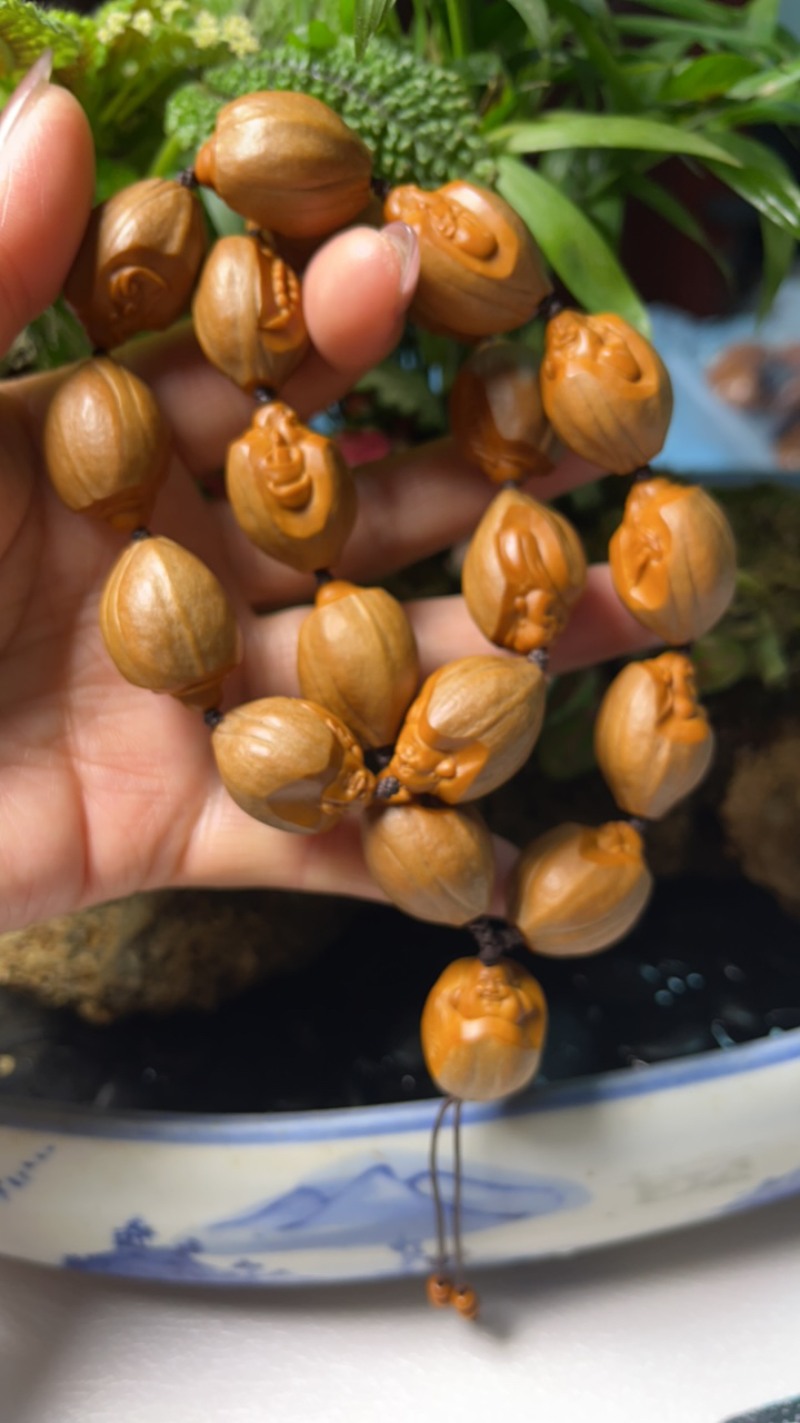 包衣弥勒橄榄核。