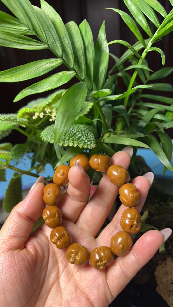 十分开心橄榄核。