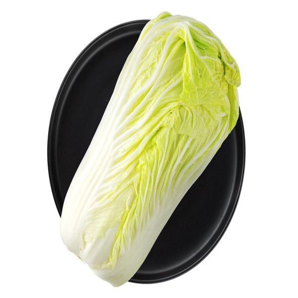 大白菜