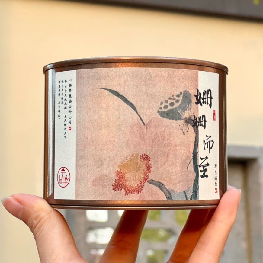买三送一丨姗姗而至野生晒红 云南红茶