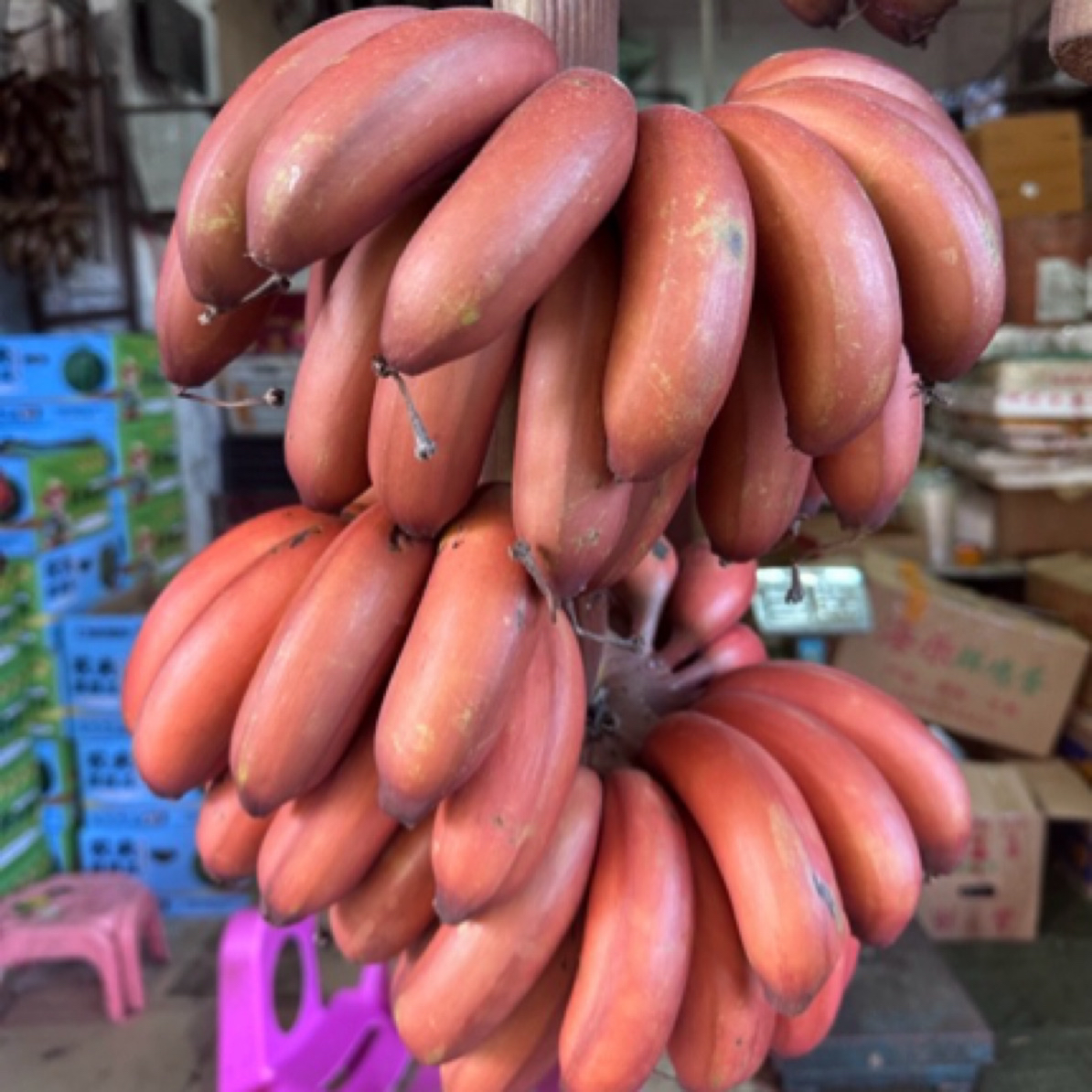 【顺丰快递】海南红皮香蕉稀有品种咖啡蕉红美人蕉自然成熟新鲜发货