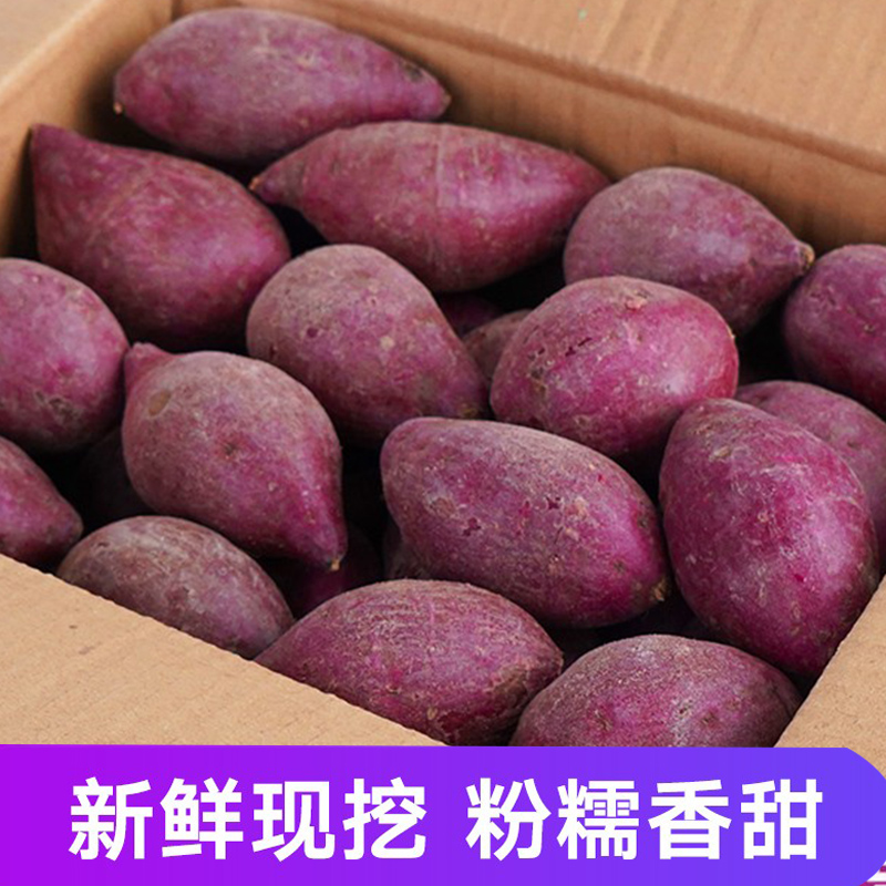 【小徐】紫薯新鲜农家自种沙地现挖紫心紫罗兰蜜薯糖心甜山芋番薯