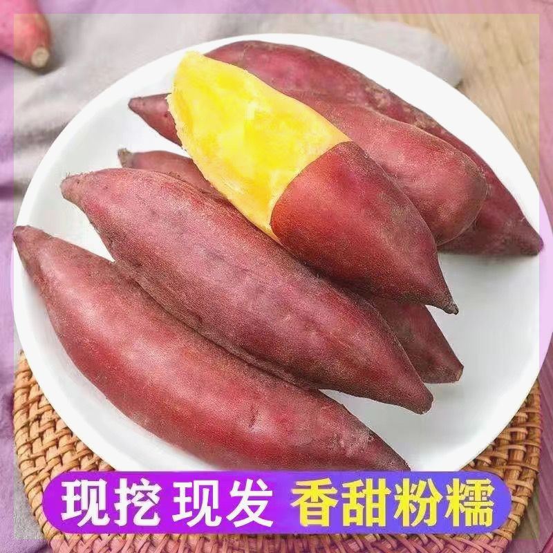 【小徐】临安天目山小香薯金手指小红薯新鲜现挖地瓜山芋板栗蜜薯