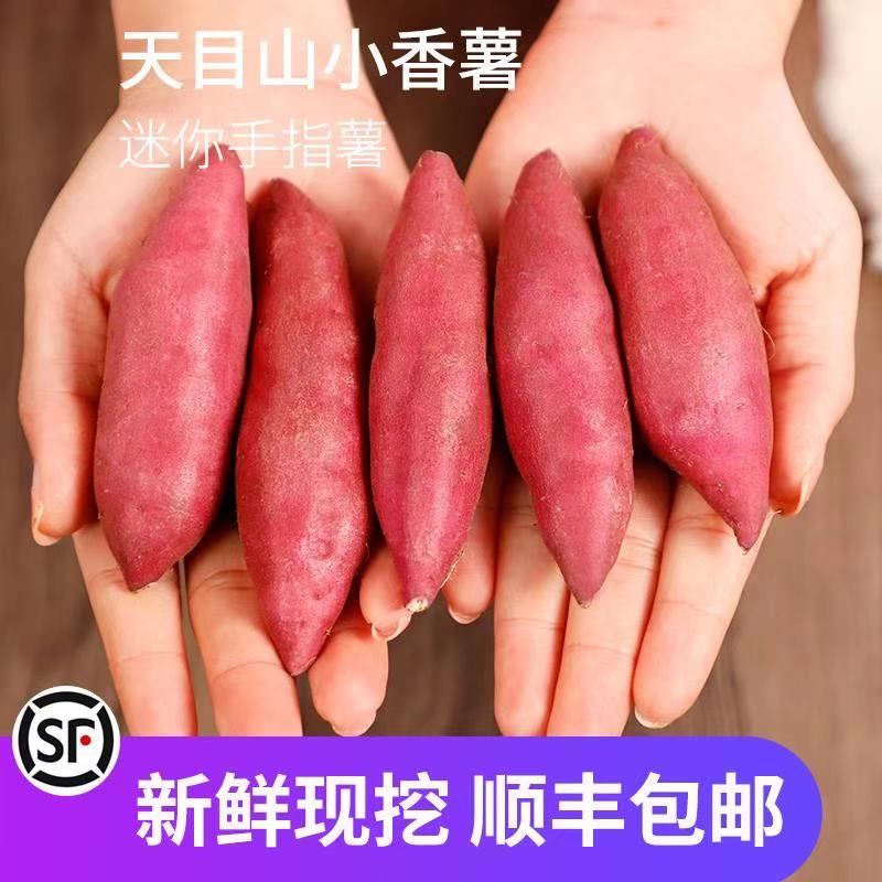 【小徐】临安天目山小香薯板栗番薯红薯新鲜地瓜迷你小红薯拇指薯