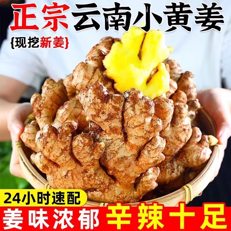 【小徐】云南新小黄姜新鲜生姜现挖高山沙姜老姜土姜月子姜蔬菜罗