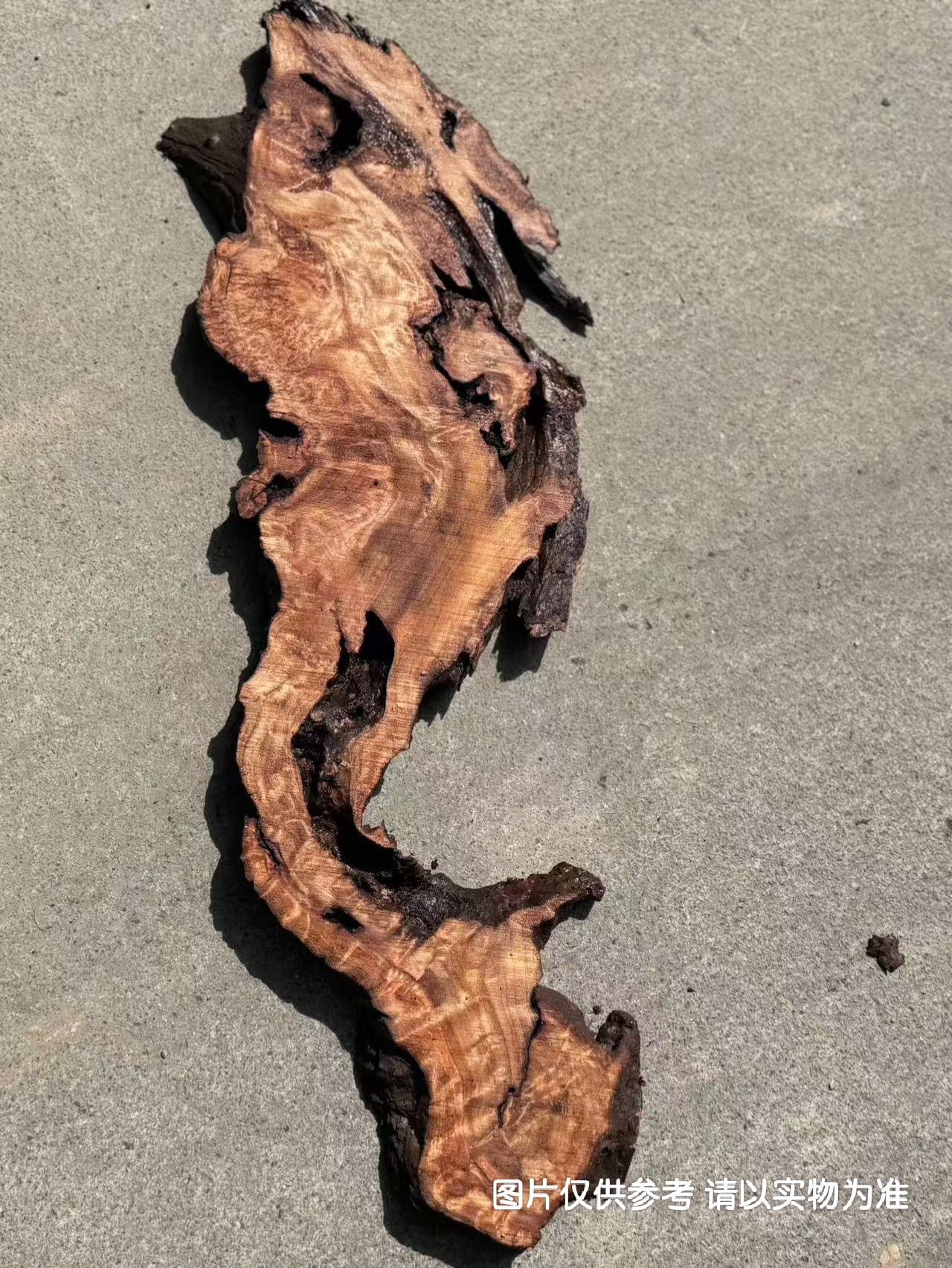#大自然的馈赠#四川精品杉木瘤原切片（请在直播间下单）