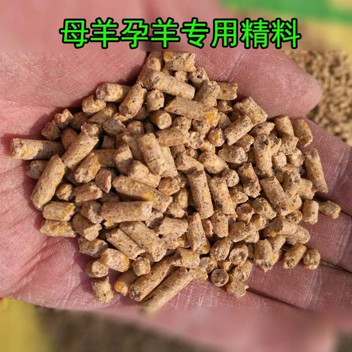 小羔羊开口饲料母羊孕羊饲料羊育肥饲料奶山羊饲料羊用草颗粒饲料