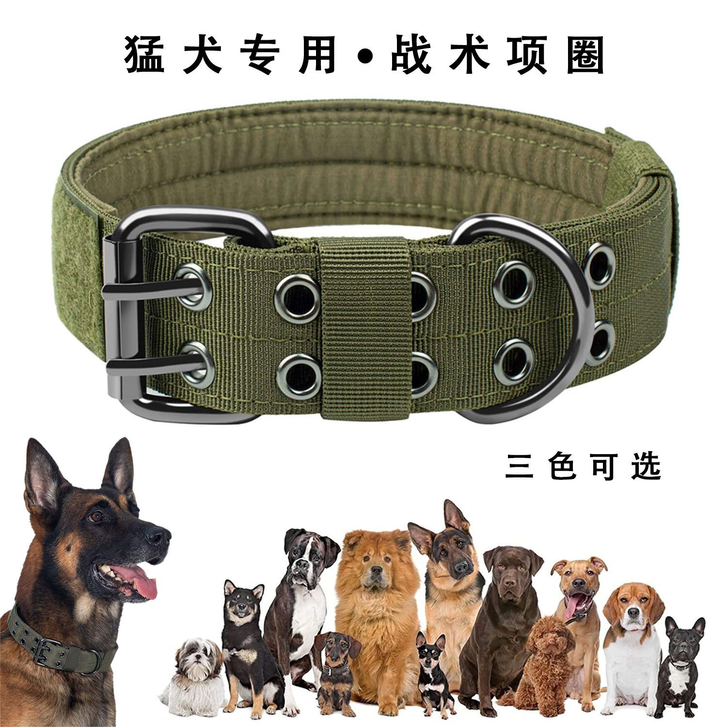 战术大型狗项圈犬金毛德牧狗狗项圈颈圈中型犬双排扣狗圈猛犬项圈