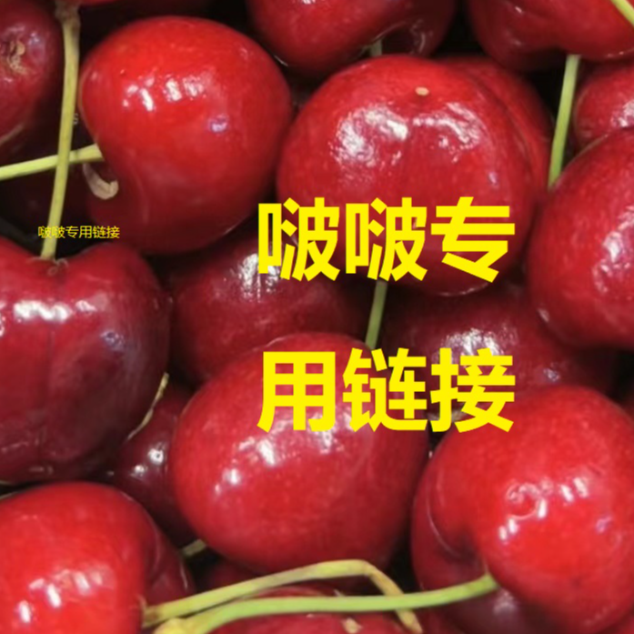 啵啵专用链接