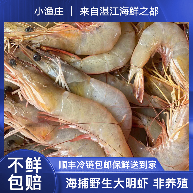 活冻 湛江本港海捕野生大明虾 顺丰冷链