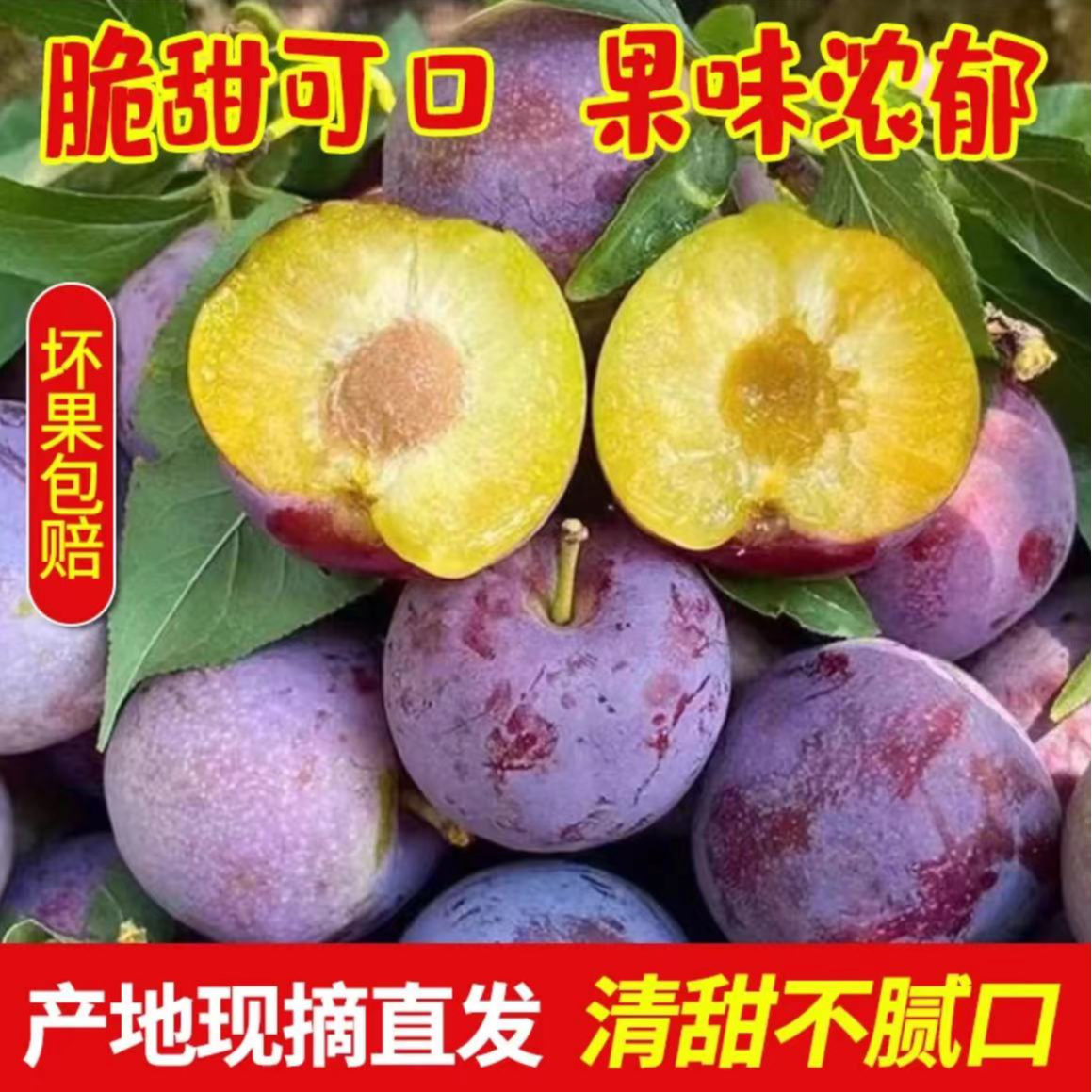 汶川高山小脆红李当季红脆李整箱包邮