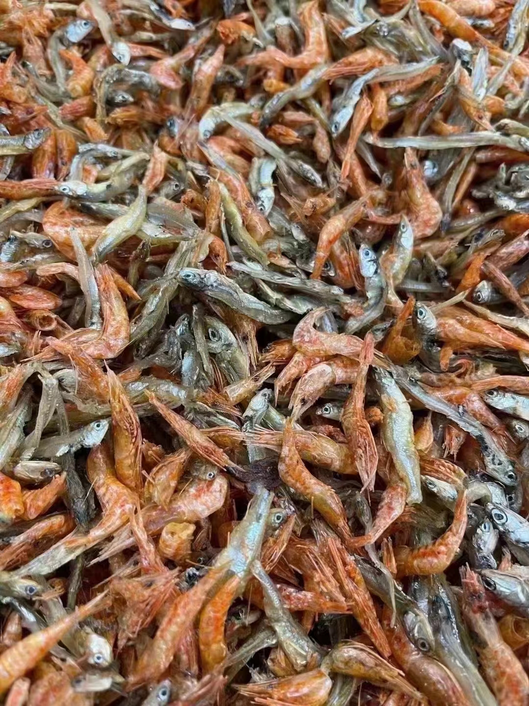 正宗万绿湖鱼虾 散装称重250克 河源特产