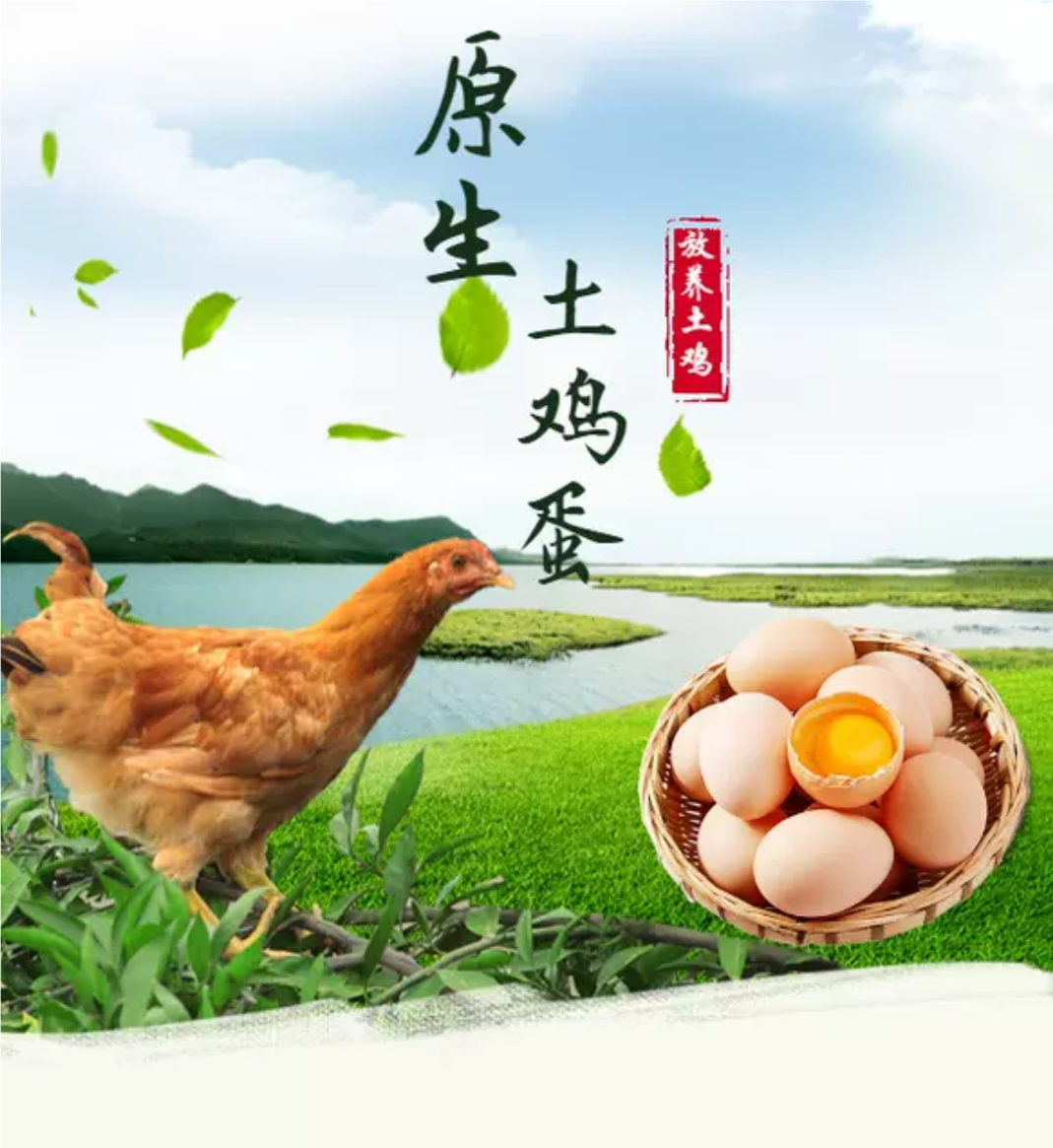 【50_30枚整箱】农家正宗土鸡蛋特级原生态新鲜现捡虫草鸡蛋破损包