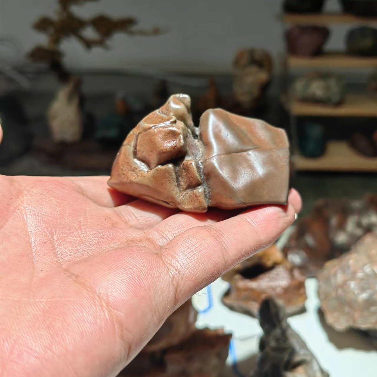 阿拉善 戈壁奇石盆景石 戈壁五彩石 戈壁石摆件