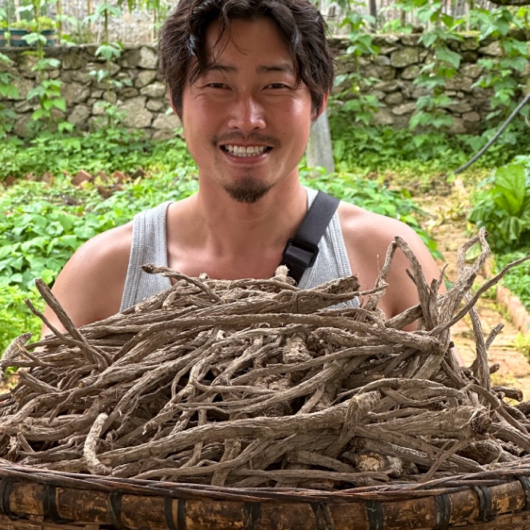 【现收甘孜山货】藏当归干货250g 自然生长 发顺丰！
