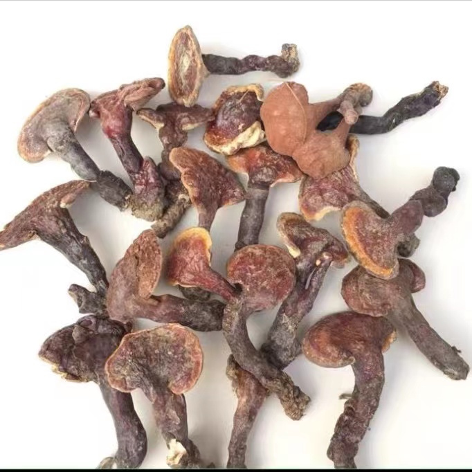 云南特产 赤灵 现收农产品250/500g